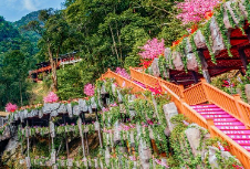 文旅品牌策划设计的重要性