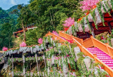 酒店品牌策划是提高竞争力的关键环节，可以吸引更多顾客的关注和选择